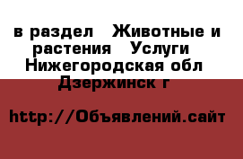  в раздел : Животные и растения » Услуги . Нижегородская обл.,Дзержинск г.
